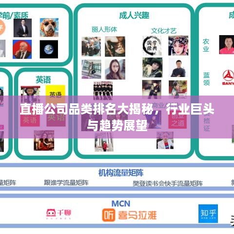 直播公司品类排名大揭秘，行业巨头与趋势展望