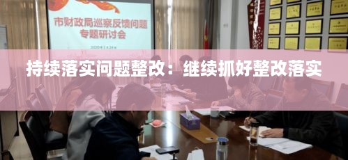 持续落实问题整改：继续抓好整改落实 