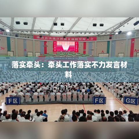 落实牵头：牵头工作落实不力发言材料 