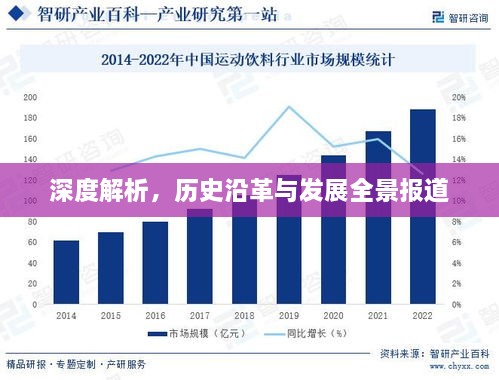 深度解析，历史沿革与发展全景报道