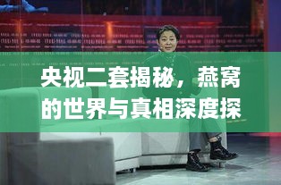 央视二套揭秘，燕窝的世界与真相深度探索