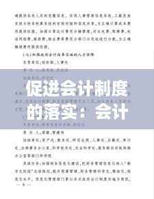 促进会计制度的落实：会计落实措施 