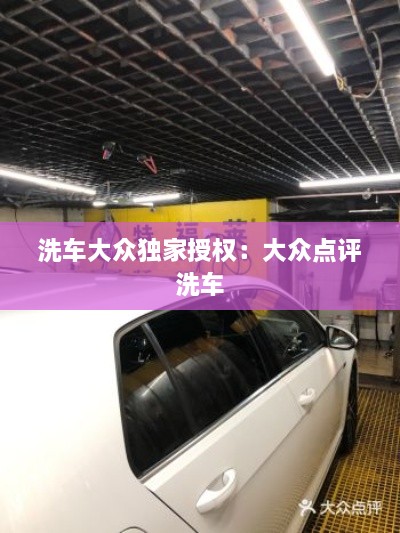 洗车大众独家授权：大众点评 洗车 