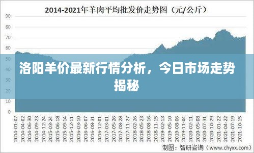 洛阳羊价最新行情分析，今日市场走势揭秘