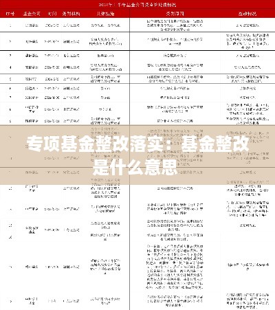 专项基金整改落实：基金整改是什么意思 