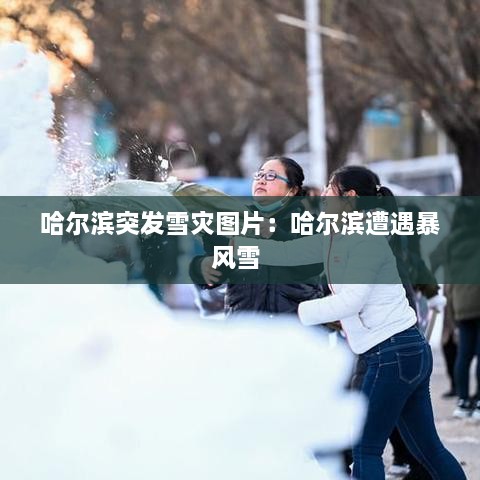 哈尔滨突发雪灾图片：哈尔滨遭遇暴风雪 