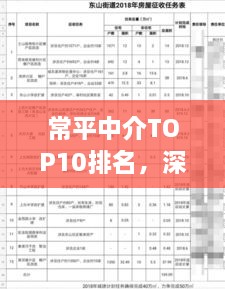 常平中介TOP10排名，深度解析与综合评估报告