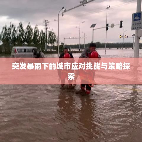 突发暴雨下的城市应对挑战与策略探索