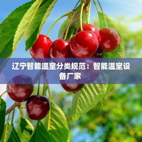 辽宁智能温室分类规范：智能温室设备厂家 