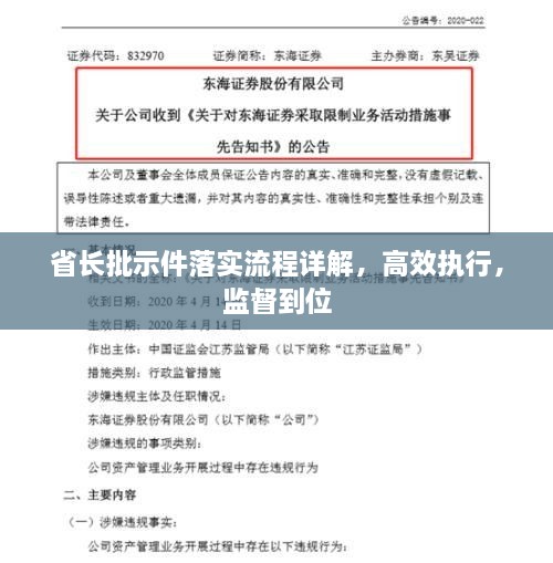 省长批示件落实流程详解，高效执行，监督到位