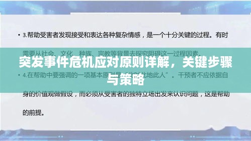 突发事件危机应对原则详解，关键步骤与策略