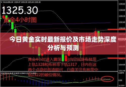 今日黄金实时最新报价及市场走势深度分析与预测