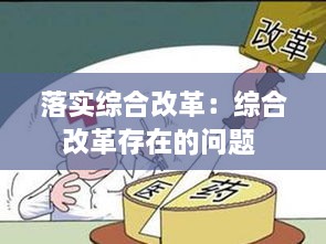 落实综合改革：综合改革存在的问题 