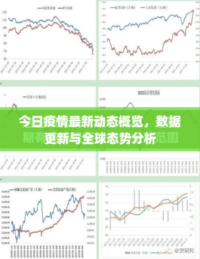 今日疫情最新动态概览，数据更新与全球态势分析