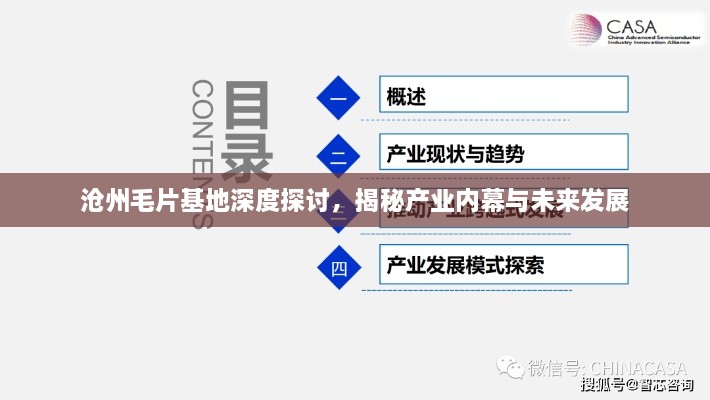 沧州毛片基地深度探讨，揭秘产业内幕与未来发展