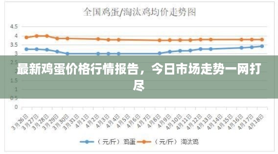 最新鸡蛋价格行情报告，今日市场走势一网打尽