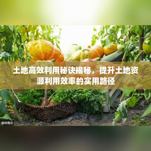 土地高效利用秘诀揭秘，提升土地资源利用效率的实用路径