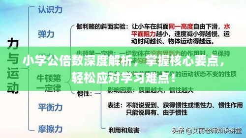 小学公倍数深度解析，掌握核心要点，轻松应对学习难点！