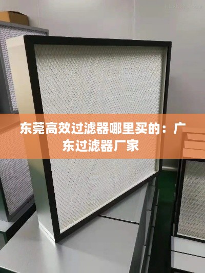 东莞高效过滤器哪里买的：广东过滤器厂家 