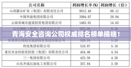 青海安全咨询公司权威排名榜单揭晓！