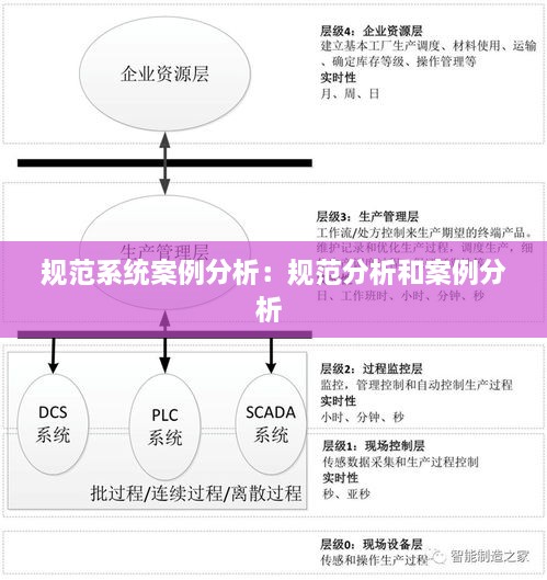 规范系统案例分析：规范分析和案例分析 