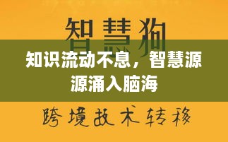 知识流动不息，智慧源源涌入脑海