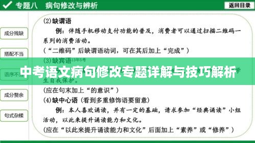 中考语文病句修改专题详解与技巧解析