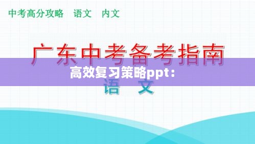 高效复习策略ppt： 