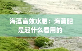 海藻高效水肥：海藻肥是起什么着用的 