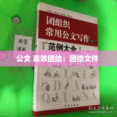 公文 高效团结：团结文件 