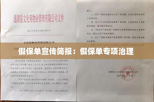 假保单宣传简报：假保单专项治理 