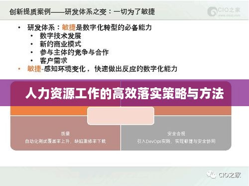 人力资源工作的高效落实策略与方法