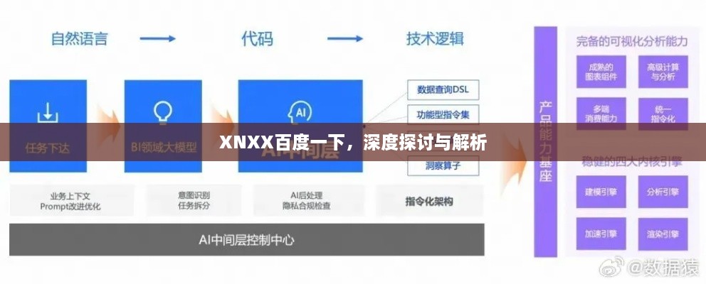 XNXX百度一下，深度探讨与解析