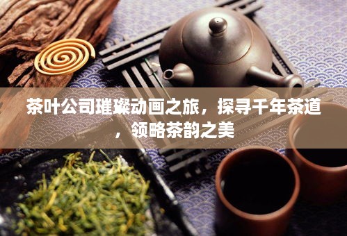 茶叶公司璀璨动画之旅，探寻千年茶道，领略茶韵之美