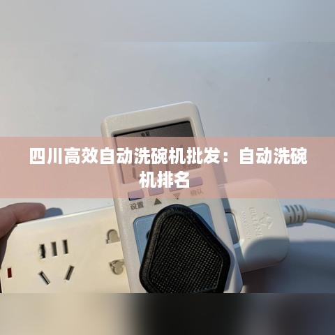 四川高效自动洗碗机批发：自动洗碗机排名 