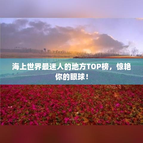 海上世界最迷人的地方TOP榜，惊艳你的眼球！