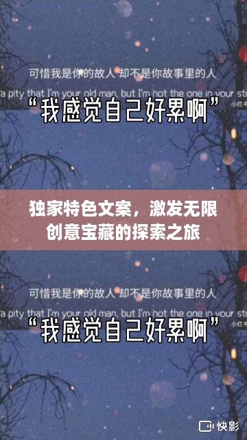 独家特色文案，激发无限创意宝藏的探索之旅