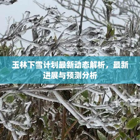 玉林下雪计划最新动态解析，最新进展与预测分析