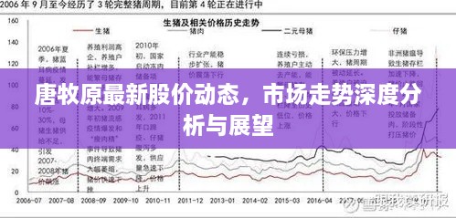 唐牧原最新股价动态，市场走势深度分析与展望