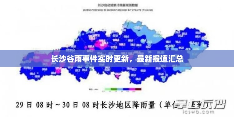 长沙谷雨事件实时更新，最新报道汇总