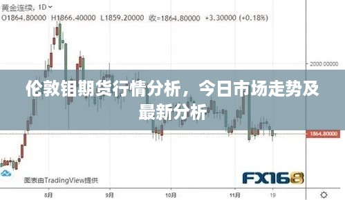 伦敦钼期货行情分析，今日市场走势及最新分析