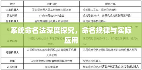 系统命名法深度探究，命名规律与实际应用