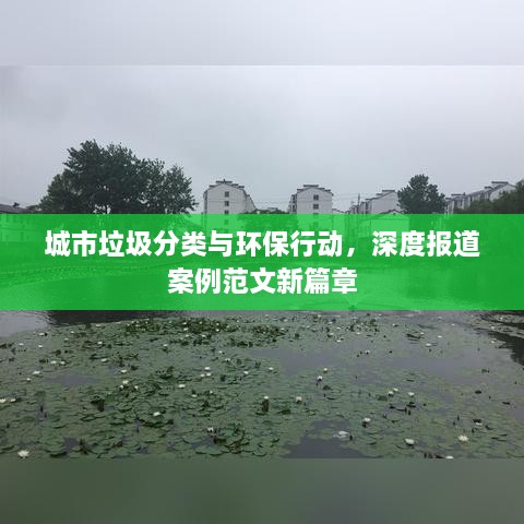 城市垃圾分类与环保行动，深度报道案例范文新篇章