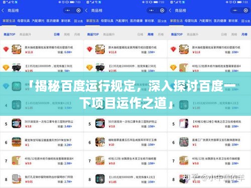 「揭秘百度运行规定，深入探讨百度一下项目运作之道」