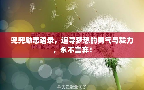 兜兜励志语录，追寻梦想的勇气与毅力，永不言弃！