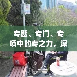 专题、专门、专项中的专之力，深度挖掘与精准聚焦的奥秘