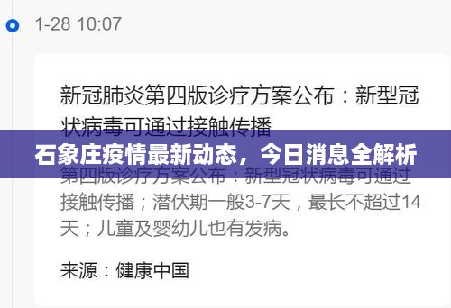 石象庄疫情最新动态，今日消息全解析