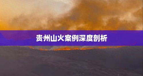 贵州山火案例深度剖析