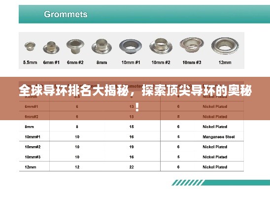 全球导环排名大揭秘，探索顶尖导环的奥秘！