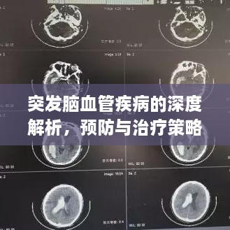 突发脑血管疾病的深度解析，预防与治疗策略全攻略